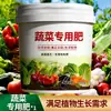 Solución Revitalizante para Plantas, Tipo Universal Solución Nutritiva para Plantas Verdes, Solución Activa Especial para Tallos Amarillentos, Crecimiento de Raíces y Promoción del Crecimiento