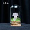 Ornamentos de Amostra de Minério de Cascalho de Cristal Natural Pedra Bruta de Cristal Mineral Rocha de Ágata Pedra Popular de Ensino de Ciência para Crianças