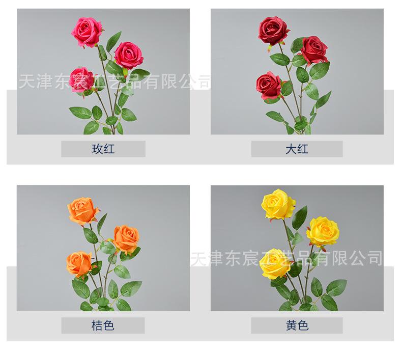 详情_03.jpg