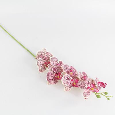 12780211542_717949217.400x400