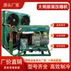 Unidad de Refrigeración para Almacén Frigorífico Daming Congelador Pequeño Juego Completo de Equipos Compresor de Pistón Semi-Hermético 5P30Hp Compresor de Tornillo de Baja Temperatura