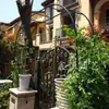 Soporte de Flores de Hierro Forjado Grueso de 19 mm Arco Soporte Guía de Carretera Planta Trepadora Rosa Uva Lufa Planta Trepadora Arco