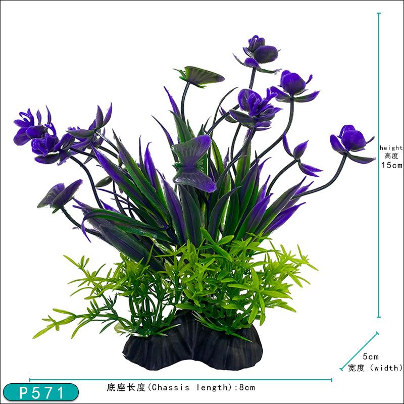 P571.jpg