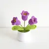Día del Maestro Maceta Tejida Flor Artificial Acabados Adornos Decoración Hogar Amigos Mejor Amigo Regalos Regalo Flores en Maceta