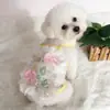 Ropa para Perros, Ropa para Mascotas, Falda para Cachorro Teddy, Bichón Frisé VIP, Cachorro Pequeño, Vestido Chaleco de Princesa para Gato