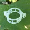Grampos para Plantas, Grampos Plásticos para Amarrar Vinhas, Grampos para Galhos, Grampos para Pendurar Vinhas, Grampos de Suporte para Vinhas, Grampos de Fixação para Vinhas