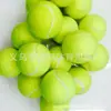 Processamento de fábrica e atacado elástico cerca de 50-60 cm pet tênis prática baixo elástico tênis nível 2 Tênis