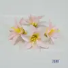 Flor de Lírio Pequena de 7cm Cabeça de Flor de Lírio-do-Vale Artificial Caixa de Flores Pacote de Material DIY Feito à Mão Decoração de Chapéu de Doutor Lembrança