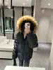 Jaqueta de Algodão com Capuz e Gola de Pelo da Moda High Street para Mulheres no Outono e Inverno, Quente, Solta, Casual, Jaqueta Básica Pão, Tendência
