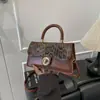Bolso cruzado de un solo hombro para mujer, moderno, nuevo estilo extranjero 2025, con retazos y estampado de leopardo, con un pequeño diseño de cierre cuadrado