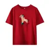 Camiseta com Estampa de Ano Zodiacal Plus Size, Pônei e Bola Colorida - Nova Coleção Primavera 2026 - Suéter Versátil Soltinho 124326