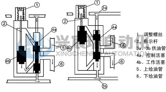 SSPQ-P_3(1).jpg