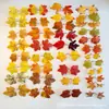 Folhas Simuladas com Cores Ricas, Novas Folhas de Bordo para Fotografia, Adereços de Decoração para Casamentos ao Ar Livre, Artesanato Atacado de Folhas Artificiais