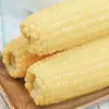 Milho branco ceroso do Nordeste, espiga de milho doce e pegajosa, selado a vácuo para frescor, não transgênico, substituto de refeição integral fresco, milho pronto para comer