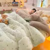 Edredón de Felpa Grueso de Doble Cara para Invierno al por Mayor, Ropa de Cama de Felpa de Leche y Felpa de Cordero, Edredón para Persona Doble de Hogar para Cuatro Estaciones, Núcleo de Edredón Individual para Dormitorio