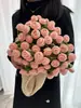 Manta terciopelo paquete de material DIY ramo de rosas manta ganchillo tejido a mano regalo flores hilo ganchillo