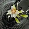 Acessórios de Flor de Sapato de Cristal Resistentes Estilo Coreano com Lantejoulas Bordadas, Franjas de Cristal Exquisite de Estilo Leve de Luxo