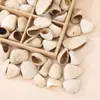 Materiais para Sino de Vento de Casca de Fruta Natural em Atacado Multicategoria Cor Natural Casca de Fruta Boneca Estilo Chinês Enfeites Pendurados Matérias-Primas Cruas para Artesanato DIY