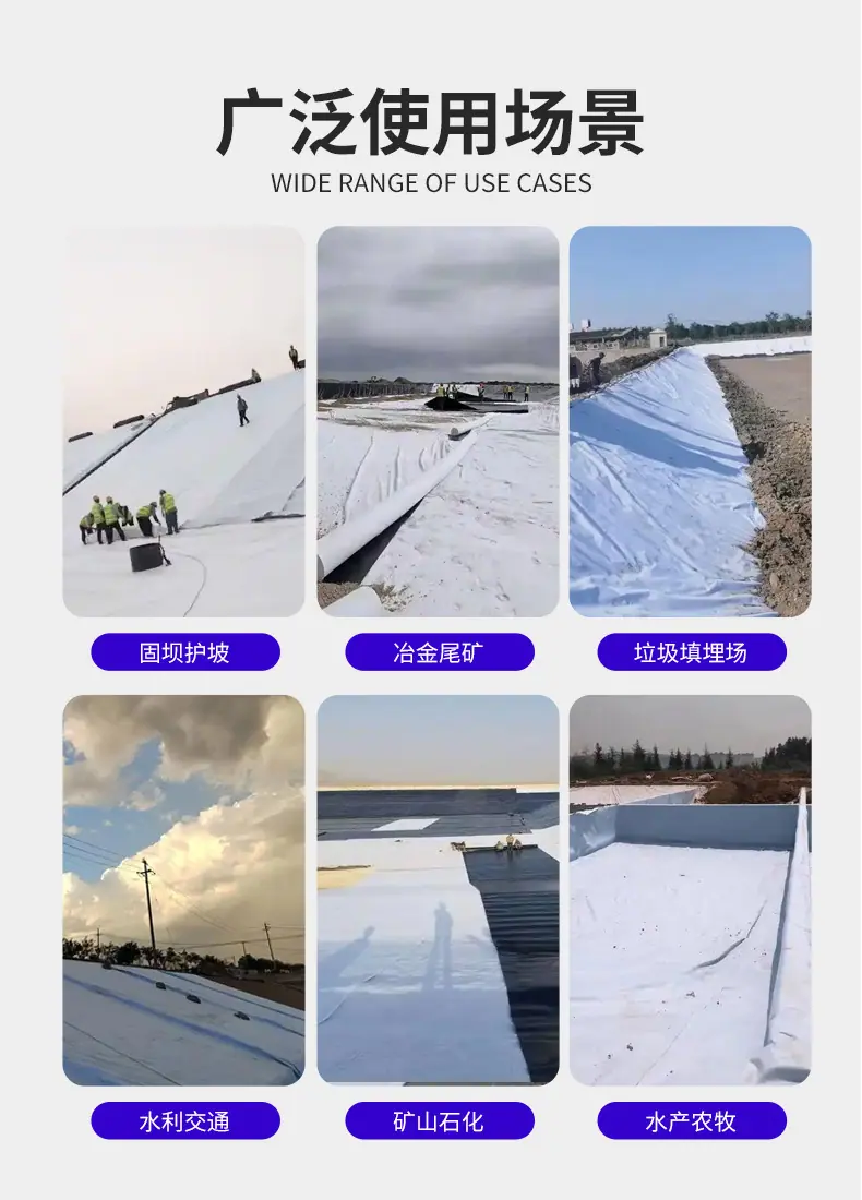 复合排水网 (10).jpg