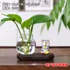 Gatito pescando, panda, rana, gato siamés, planta pothos, jarrón hidropónico, adorno de escritorio, decoración de escritorio de oficina