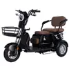 Patinete Elétrico para Idosos Triciclo Elétrico 48V60V72V Comércio Exterior Triciclo Elétrico Pequeno Cool para Lazer Push-Pull