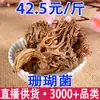 Hongos de Coral Secos Hongos Escoba Hongos Cepillo Hongos Secos Hongos Garra de Dragón Venta al por Mayor Dropshipping