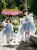 Vestido de menina, vestido de tule, vestido de princesa, vestido infantil Frozen Elsa Lolita, fantasia de apresentação