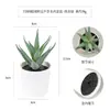Más de 100 Tipos de Combinaciones de Plantas Suculentas Mini de Plástico Simuladas en Maceta, Mini Bonsáis Suculentos Más Vendidos Transfronterizos, Decoración para el Hogar, Adornos Creativos