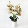 Vaso de Pedra de Rattan Trançado Simulação 9 Orquídeas Phalaenopsis Plantas em Vaso Película com Sensação de Mão Flor Artificial Bonsai Decoração de Casa Ornamento de Planta Verde