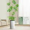 Forma Pie de Pato Madera Sala de Estar Maceta Grande Planta Verde Interior Sala de Estar Grande de Pie Flor Real Pila Vieja Pie de Pato Madera