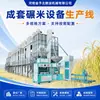 Planta de produção e processamento de arroz em larga escala totalmente automática personalizada, conjunto completo de equipamentos de beneficiamento de arroz, preço da máquina descascadora de arroz e máquina de polir arroz