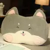 Almohada de Felpa para Barriga con Cara de Doodle Transfronteriza Juguete de Peluche Cintura Desmontable Lavable Esterilla Almohada Almohada para el Hogar Venta al por Mayor
