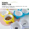 Tigela Dupla Cerâmica para Gatos, Tigela de Água com Proteção de Pescoço, Boca Inclinada Elevada, Tigela de Comida para Gatos, Tigela de Água, Tigela para Pets, Acessórios para Pets