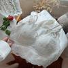 Ropa Interior de Encaje Estilo Francés Brisa para Mujer Espalda Hermosa Enferma Correa Base Ultradelgada Envoltura Tubo para Pecho Bra Exhibidor de Pecho Grande