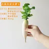 Modelo de Alface Artificial de Vegetais, Repolho, Brócolis, Vegetais Verdes, Couve de Xangai, Decoração de Quarto de Modelo de Armário, Leizhu