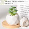 Macetas de Porcelana Blanca Transfronterizas Amazon Macetas Cerámicas para Suculentas Simples Creativas Blanco y Negro para Interiores Macetas para Orquídeas Plantas Verdes
