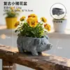 Vaso de Flores Criativo e Fofo em Formato de Porco com Textura de Pedra Artificial, Arte Floral com Tema Animal para Decoração de Mesa em Casa, Adequado para Plantas Suculentas e Plantas Verdes