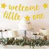 Bienvenido Pequeño decoración para fiesta de cumpleaños de bebé de 1 año banderín de tirar pancarta para fiesta de revelación de género