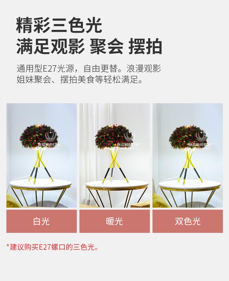 描述图_7.jpg