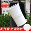 Maceta de cerámica de gran diámetro y alta apariencia con platillo, diseño blanco simple, adecuada para sala de estar, engrosada para plantas verdes