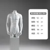 Maniquí de Torso Modelo de Ropa para Hombre Modelo de Exhibición de Ropa Interior para Hombre Tienda de Ropa Parte Inferior del Cuerpo Modelo Deportivo Soporte de Exhibición