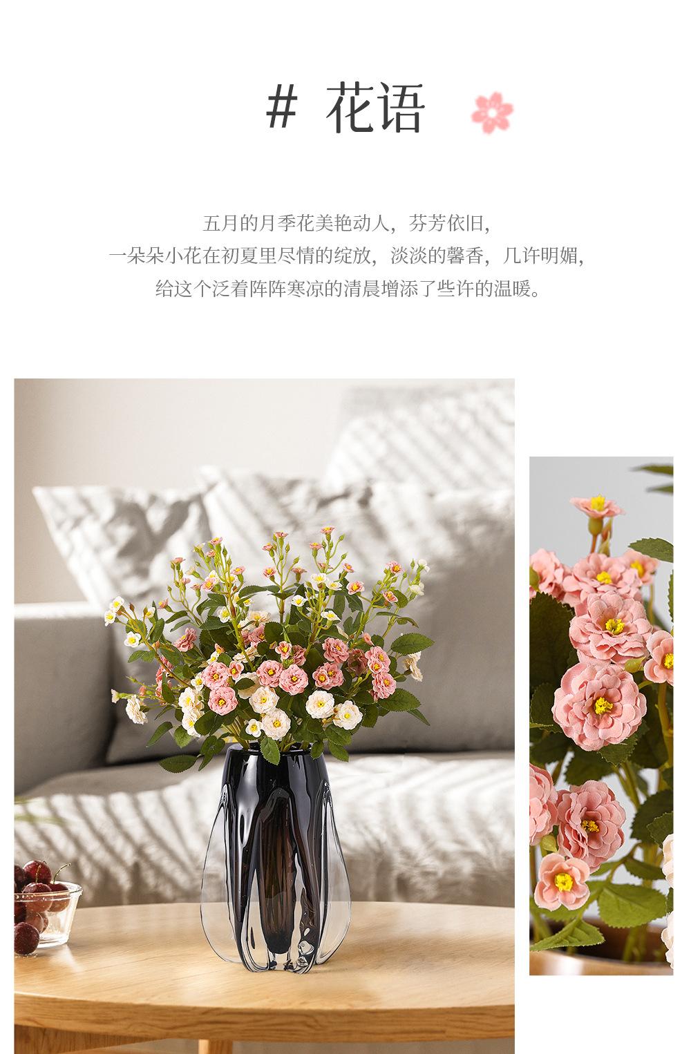 迷你小月季详情图