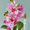Las plántulas de Phalaenopsis son fáciles de cultivar en todas las estaciones. Plantas Verdes y Flores en Maceta para Balcón de Oficina en Interiores Fáciles de Cultivar