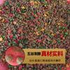 Pescado Kailong material completo para nido nido loco material para lanzar a mano nido fermentado Arroz jugando nido depósito de arroz carpa cruciana