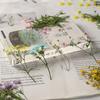 Xiacao Espécimen de Planta en Relieve Goteo de Gel Carcasa para Teléfono Móvil diy Material de Marco de Fotos Flores Secas en Relieve Flores Reales Maquillaje de Novia