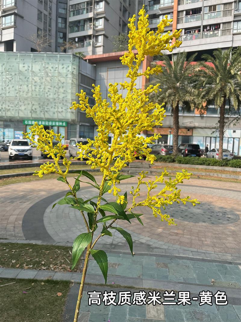 高枝质感米兰果-黄色