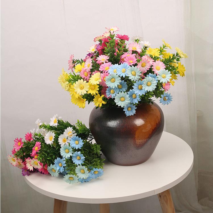 小把花邹菊1