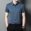 Camisa de Manga Corta de Seda de Hielo para Hombres Jóvenes y de Mediana Edad Verano 2026 Sin Costuras Antiarrugas Camisa Antiarrugas Color Sólido Estilo Papá