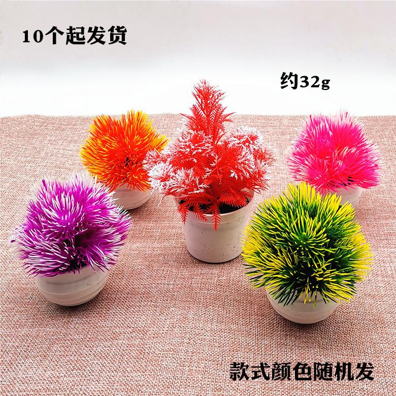 IMG_20220301_152630_副本_副本