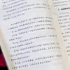 Libro de Método de Gestión de Equipos Pequeños Replicable, Libro de Pensamiento de Liderazgo para Definir Claramente Metas y Construir Equipos de Alta Eficiencia